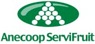 Grupo Anecoop | Su mejor proveedor de frutas y hortalizas en Europa