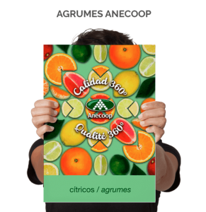 Anecoop est une coopérative de deuxième degré, constituée de coopératives de production espagnoles.