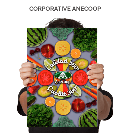 Brochure Corporative Anecoop 2018