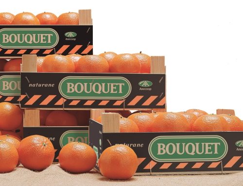 Anecoop reparte 1.250 kilos de mandarinas Bouquet en la 10KFEM de Valencia