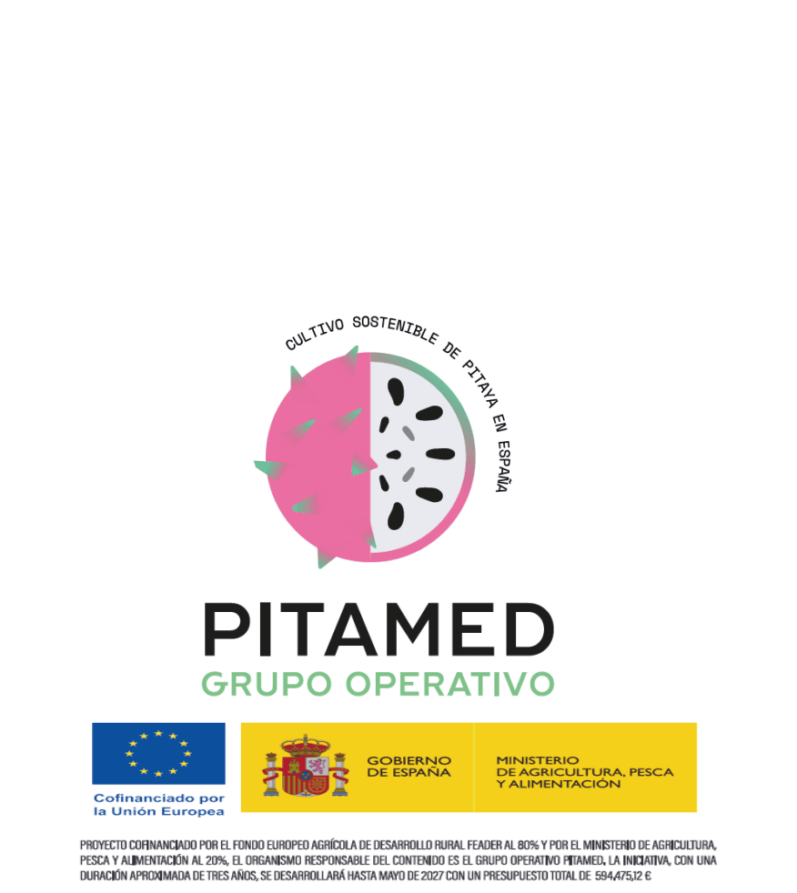 Pitamed