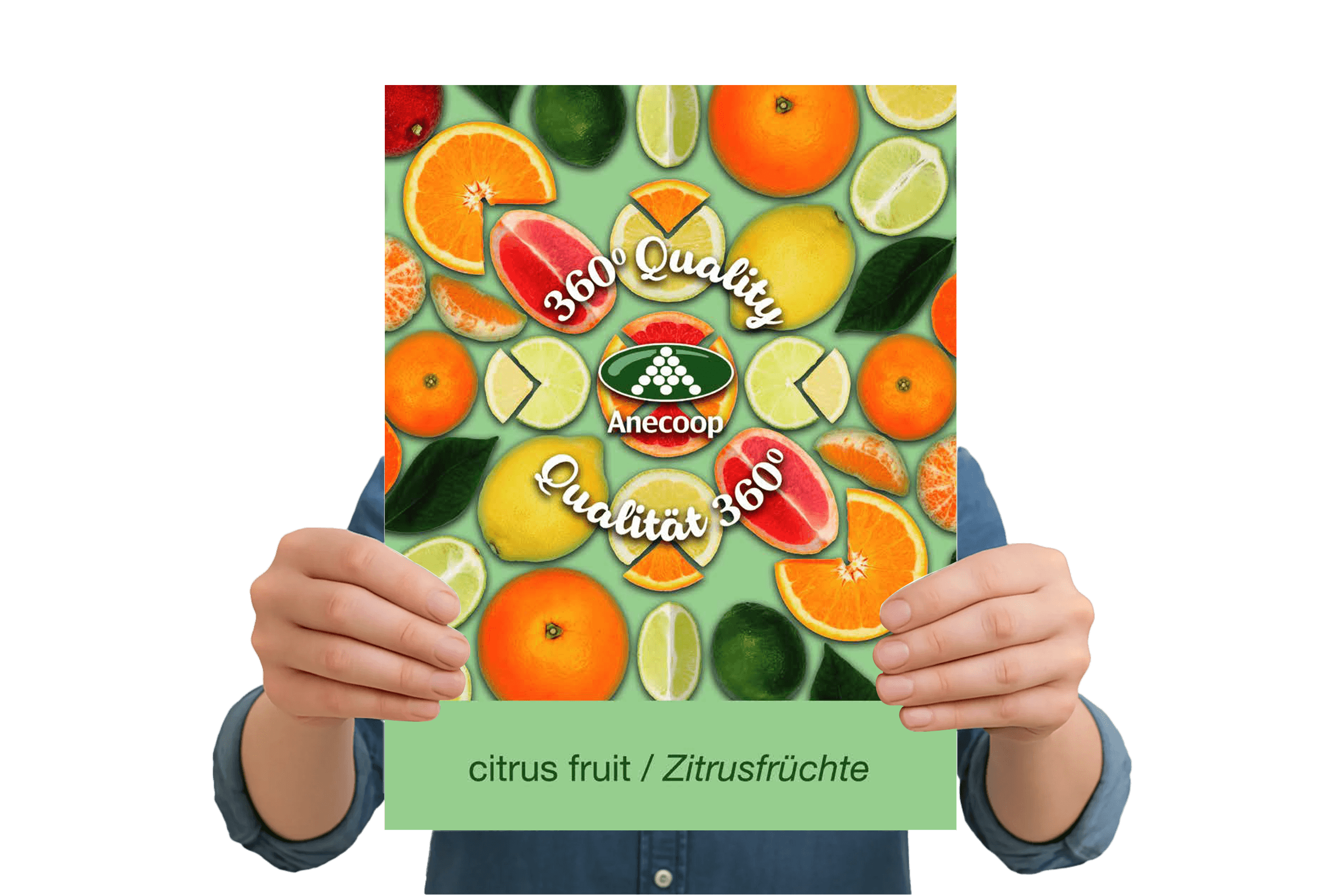 Folleto-Citricos-Ingles-Aleman-2018-WEB (1)