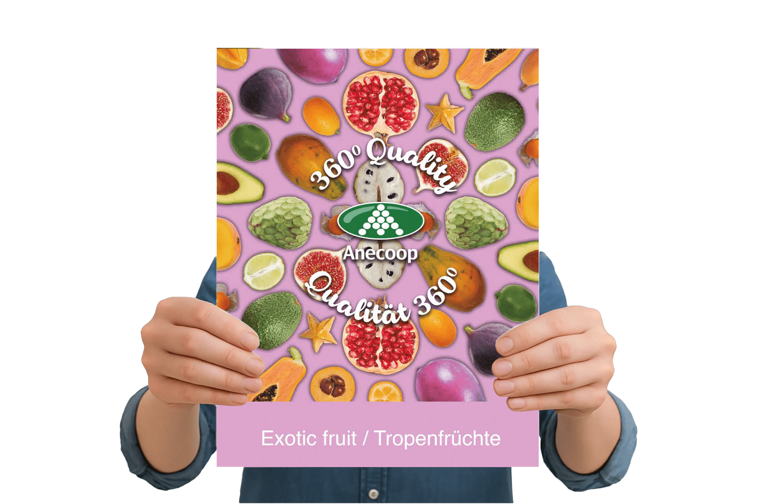 Folleto-Exotic-Ing-Ale-WEB