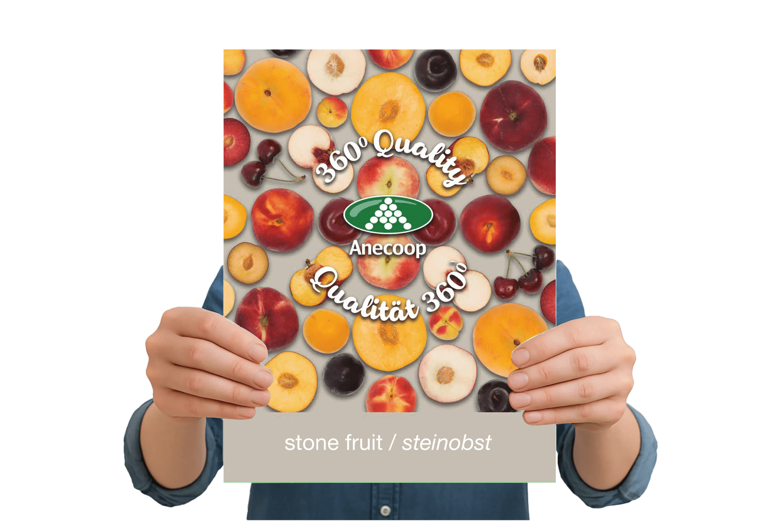 Folleto-Fruta-de-Hueso-Ingles-Aleman-oct-2016