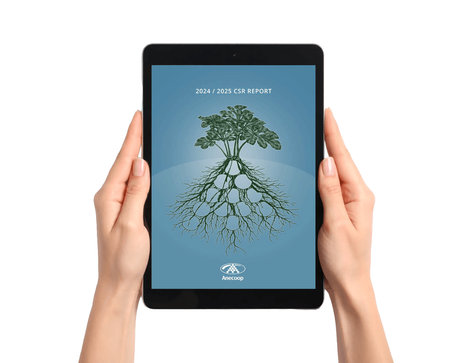 CSR Report 2025 Anecoop