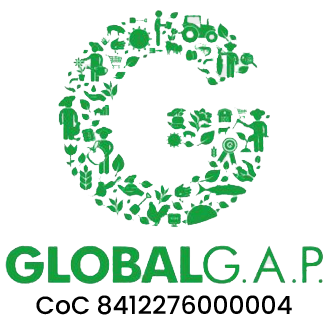 logo_Global